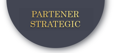 partener strategic